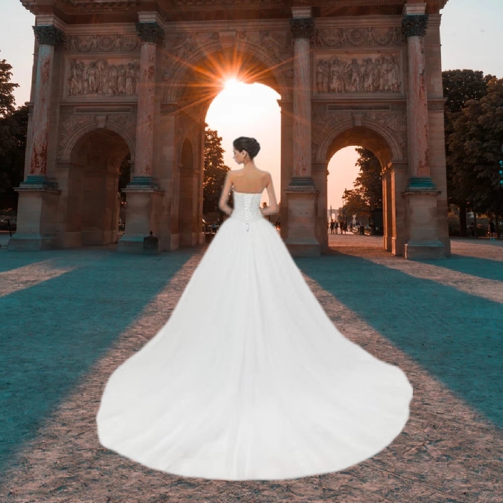🆕Tulle Ball Gown Sweetheart A-line Chiffon Bridal with Train - Size 16